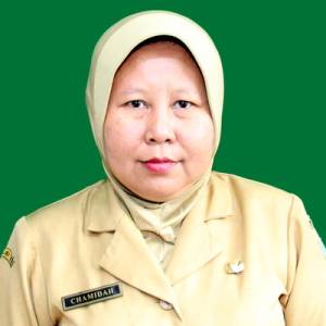 Petugas Pengaduan